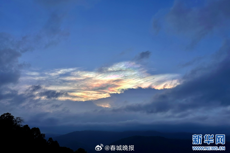 春城晚报