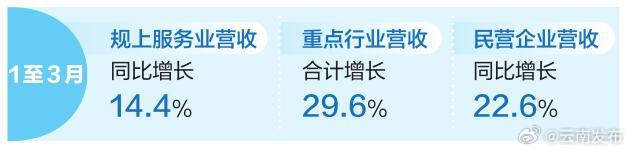 云南全省规上服务业保持高速增长