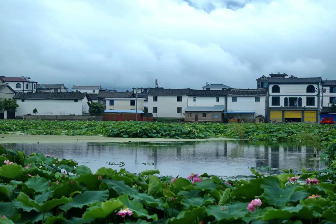 云南省文化和旅游厅