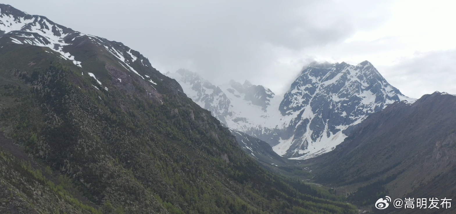 “寻宝”迪庆，遇见白马雪山生物多样性之美