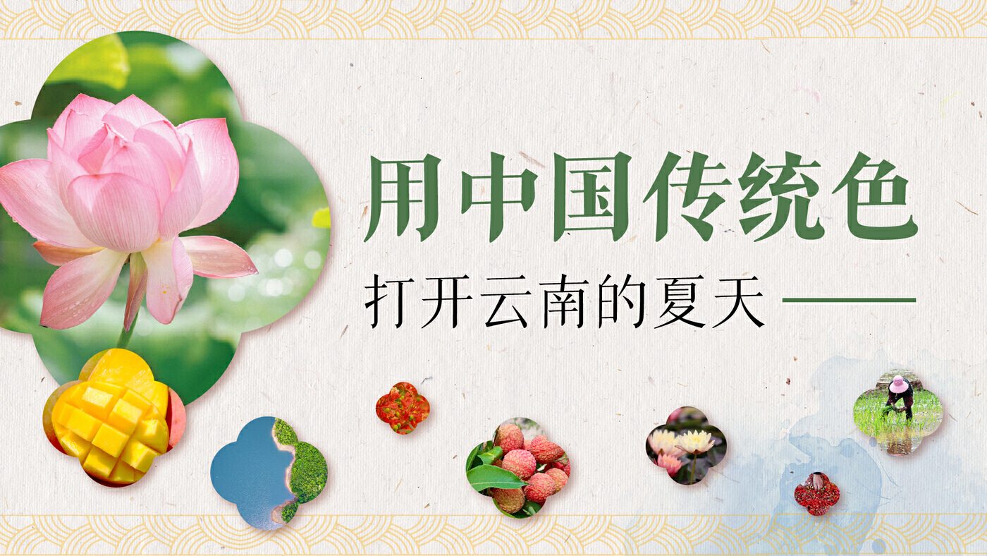 云南省文化和旅游厅