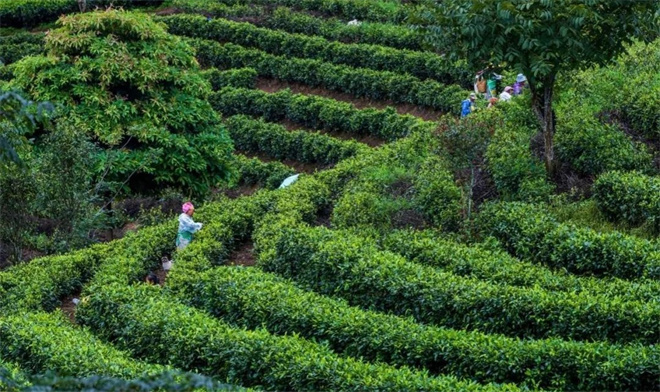 云南省文化和旅游厅