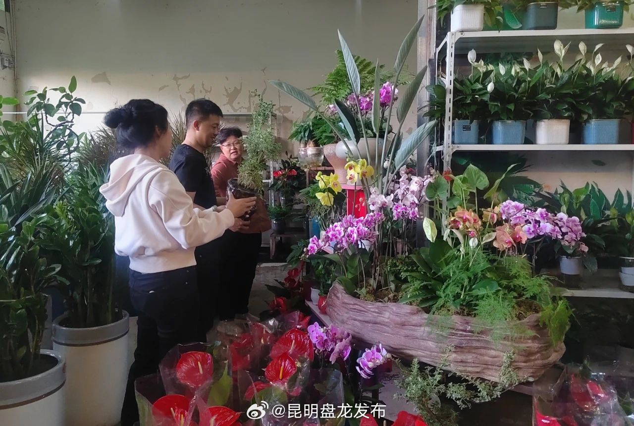 昆明盘龙发布