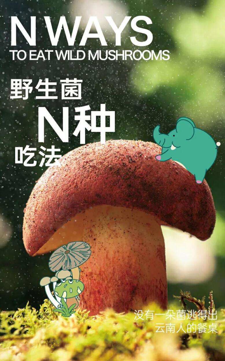 云南省文化和旅游厅