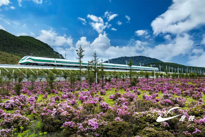 云南省文化和旅游厅