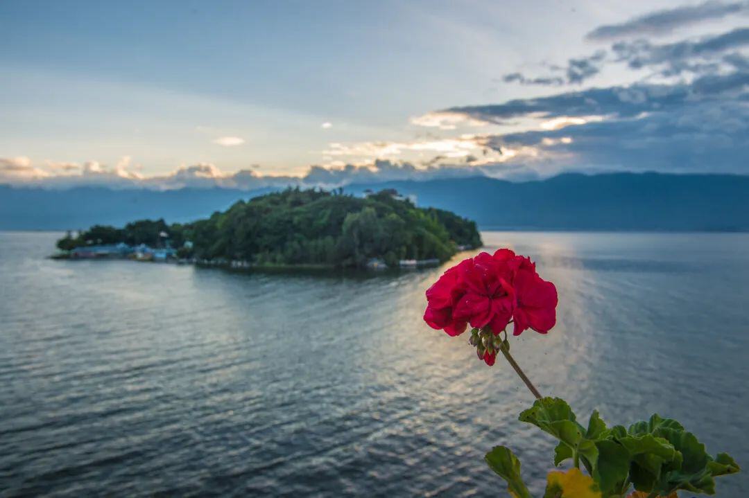 云南省文化和旅游厅