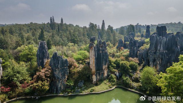 @中高考生 拿好准考证！这些地方免费、优惠→