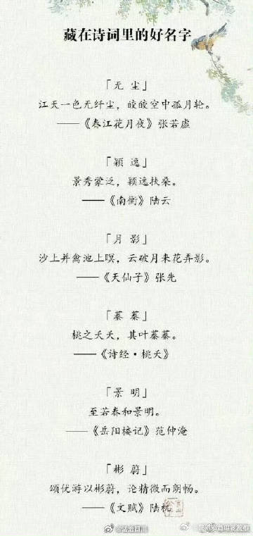 昆明市西山区发布