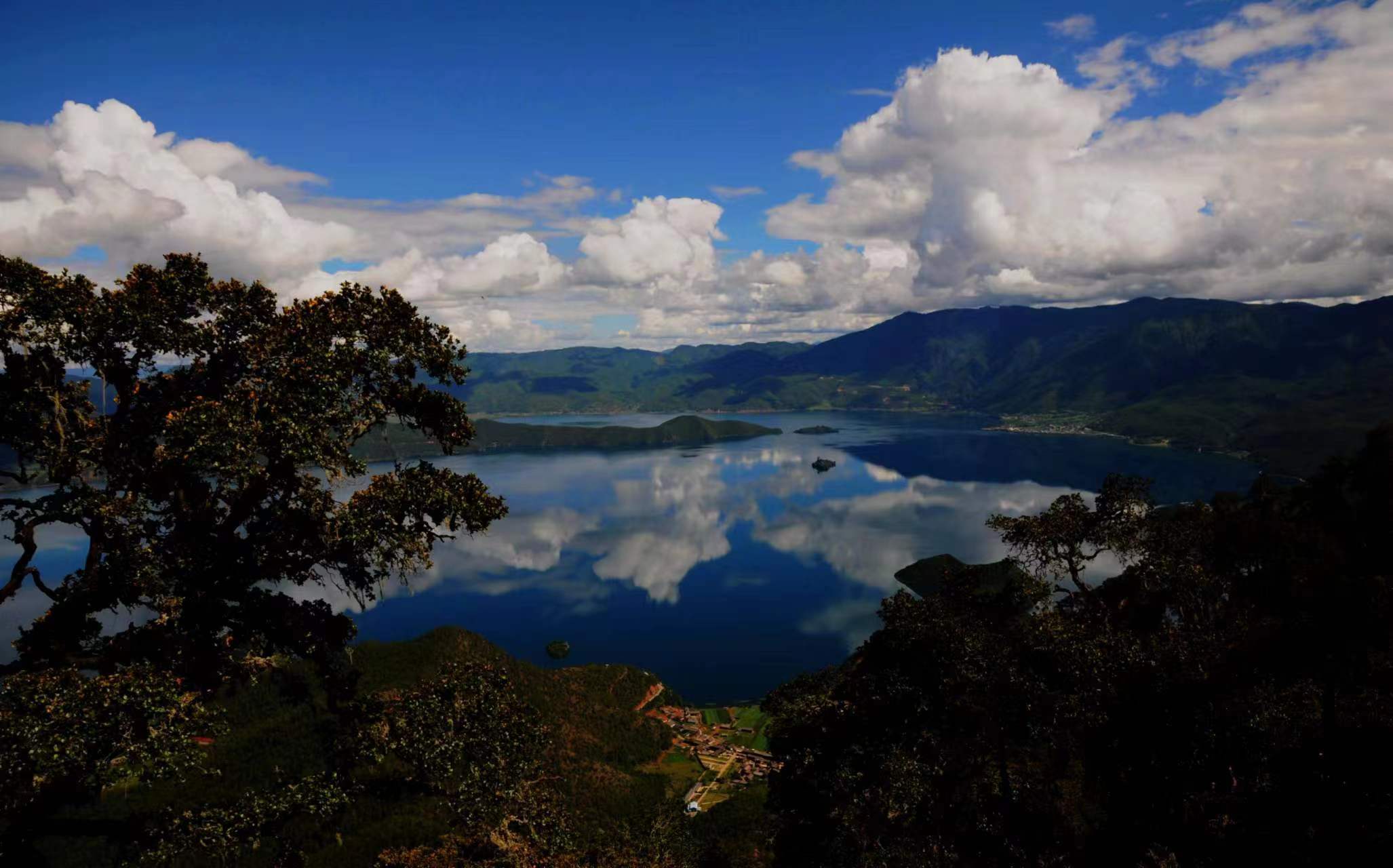 云南省文化和旅游厅