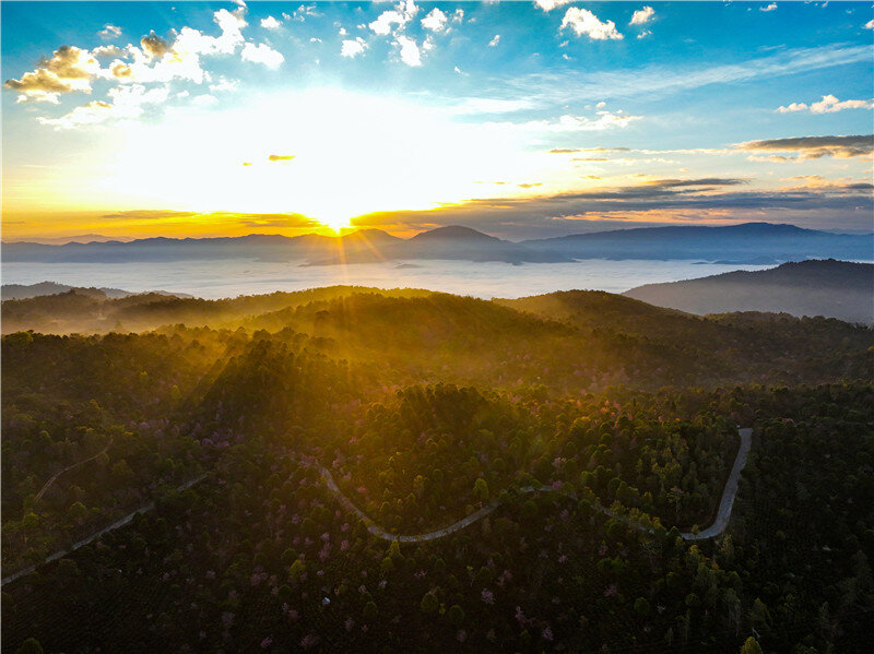 云南省文化和旅游厅