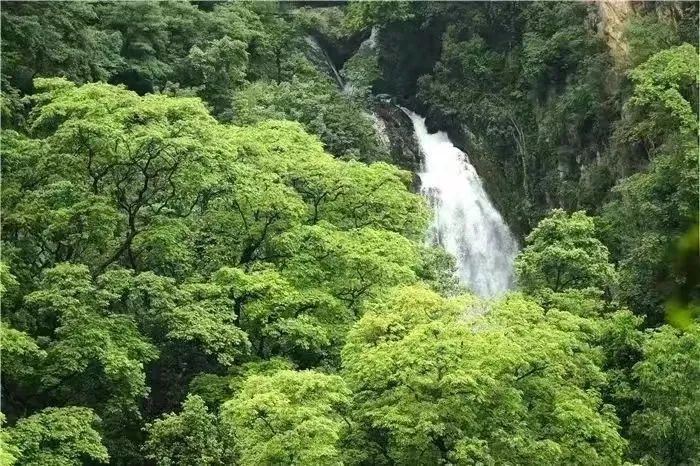 云南省文化和旅游厅