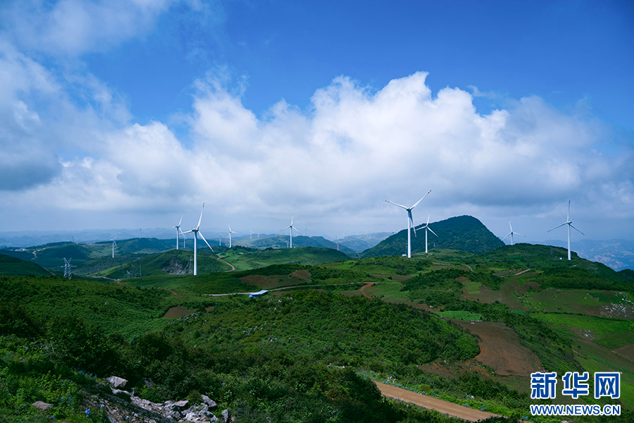 云南省文化和旅游厅