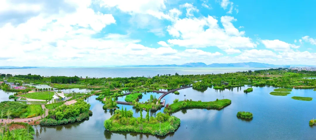云南省文化和旅游厅
