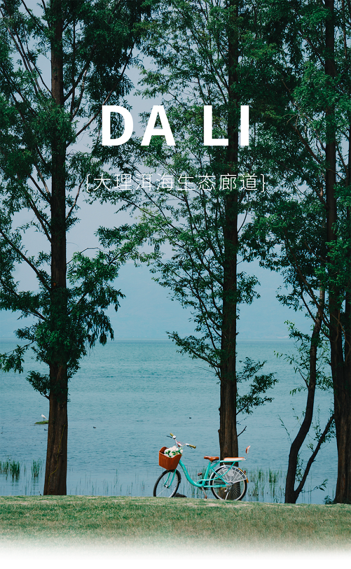 云南省文化和旅游厅