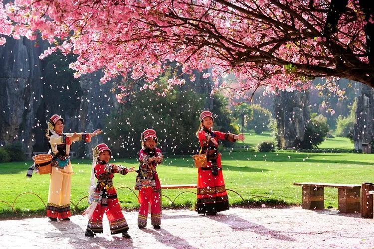 云南省文化和旅游厅