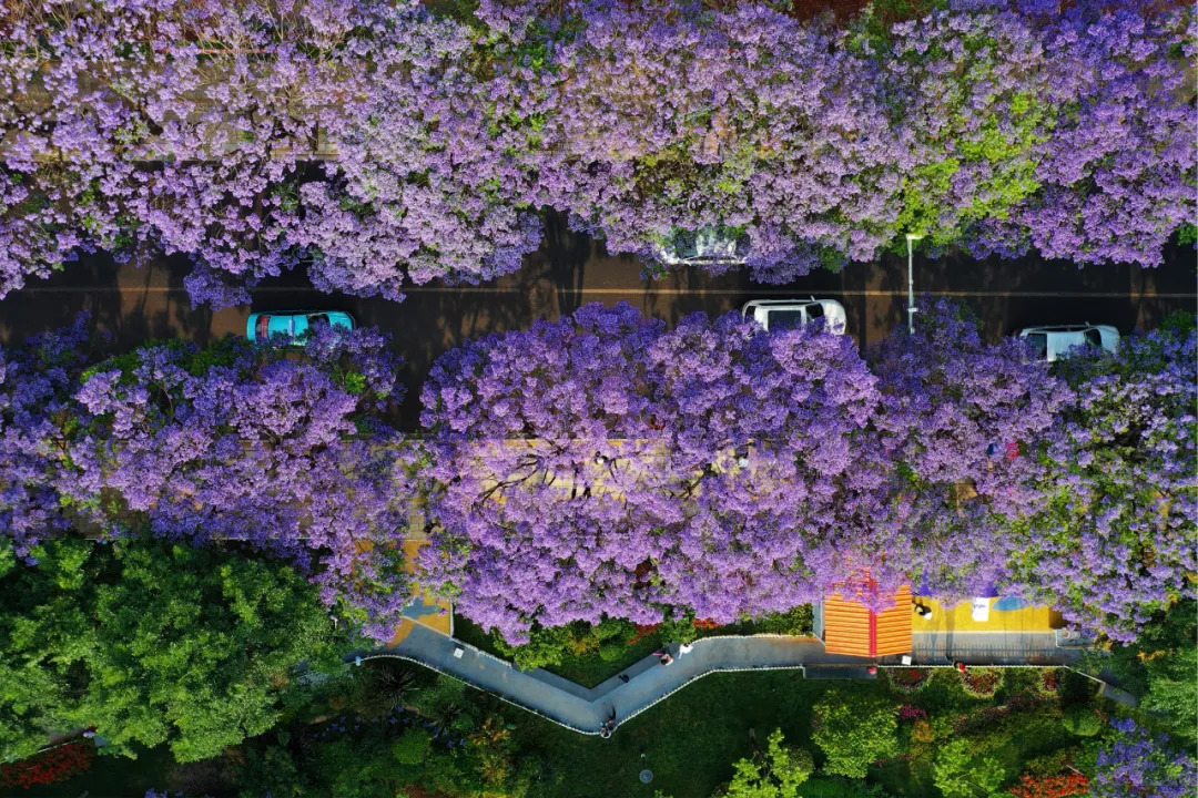 云南省文化和旅游厅