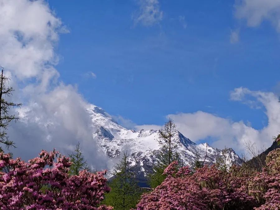 云南省文化和旅游厅