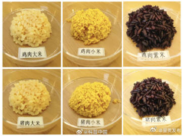 我国成功研发出鸡肉米猪肉米