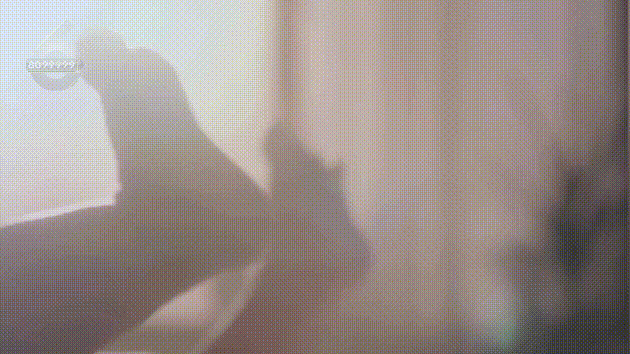 8099999街头巷尾微信