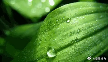 4种异常出汗需特别关注