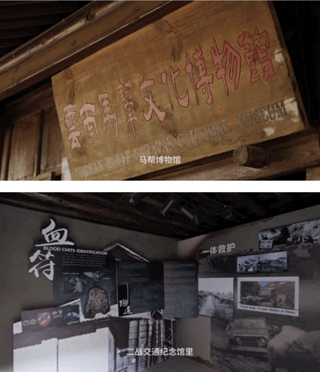 云南省文化和旅游厅