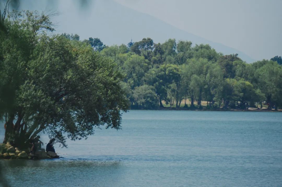 云南省文化和旅游厅