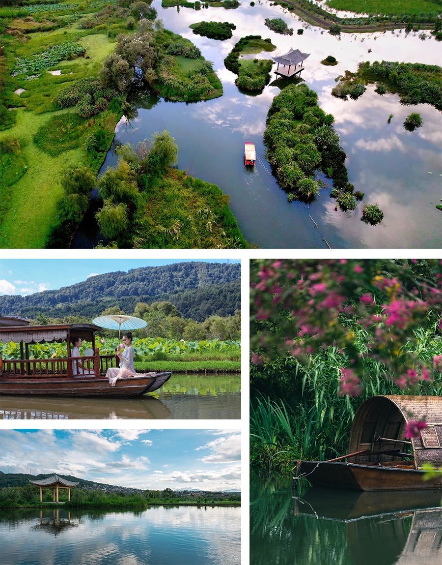 云南省文化和旅游厅