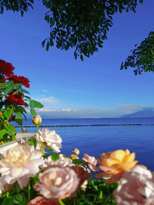 云南省文化和旅游厅