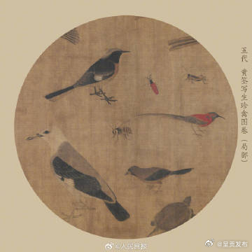 呈贡发布