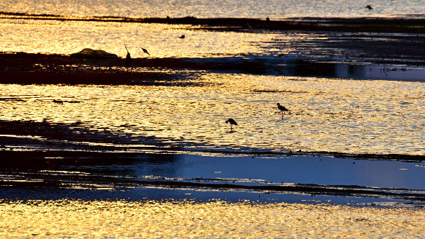 云南省文化和旅游厅