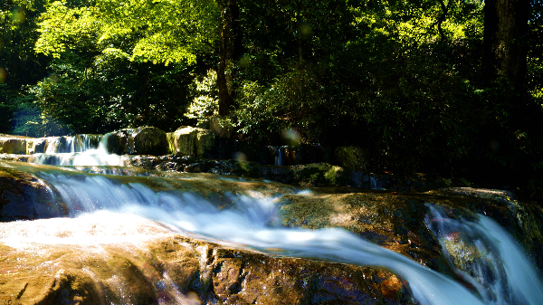 云南省文化和旅游厅