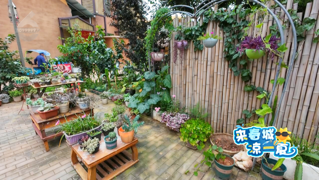 8099999街头巷尾微信