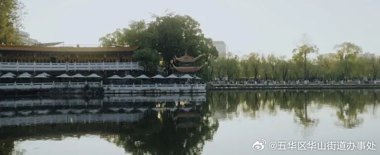 理响五华丨漫步昆明“九巷十三坡”，探寻昆明城的历史烟火与文化韵味