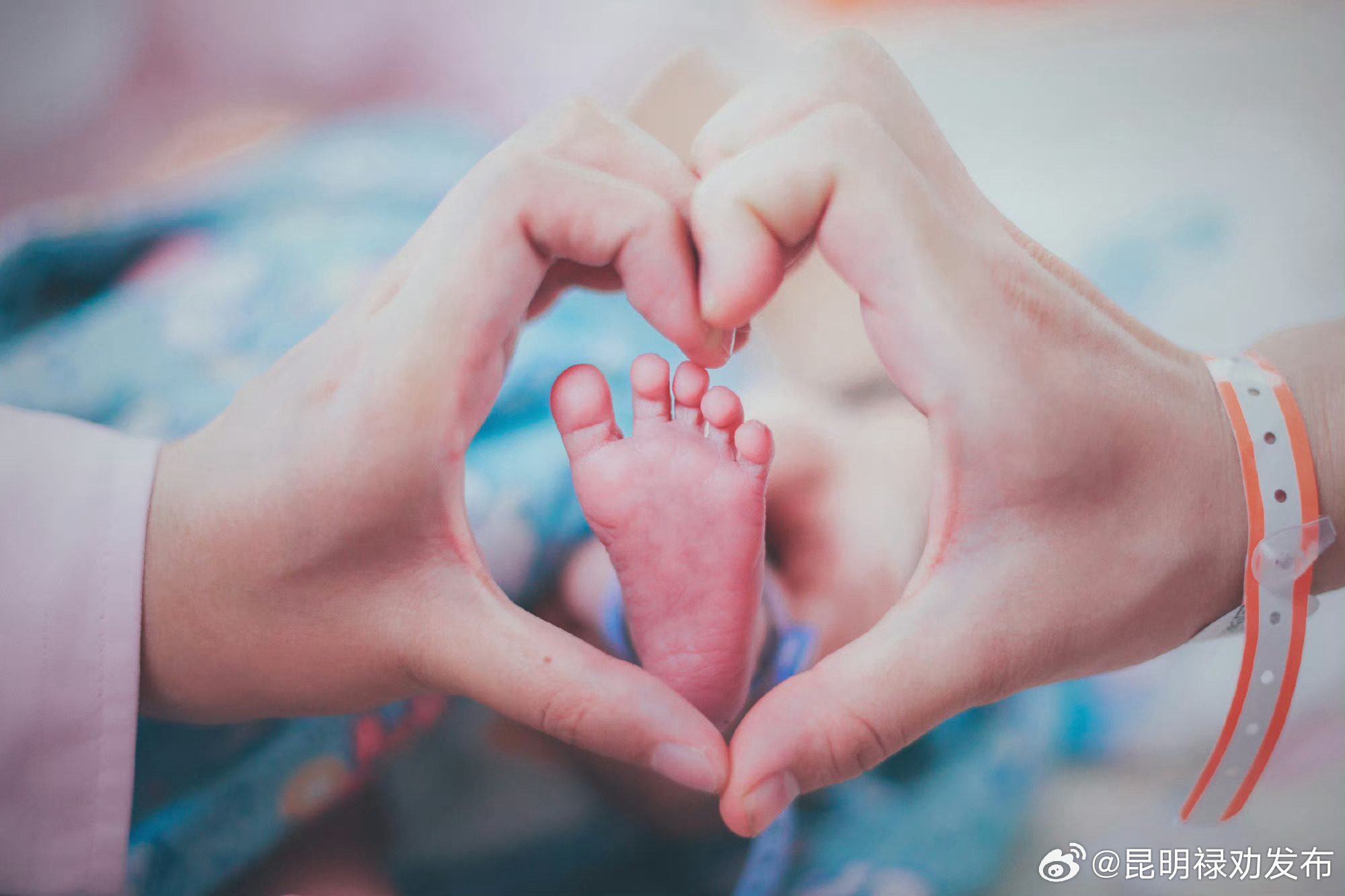 协和医生说孕吐是胎儿的自我保护