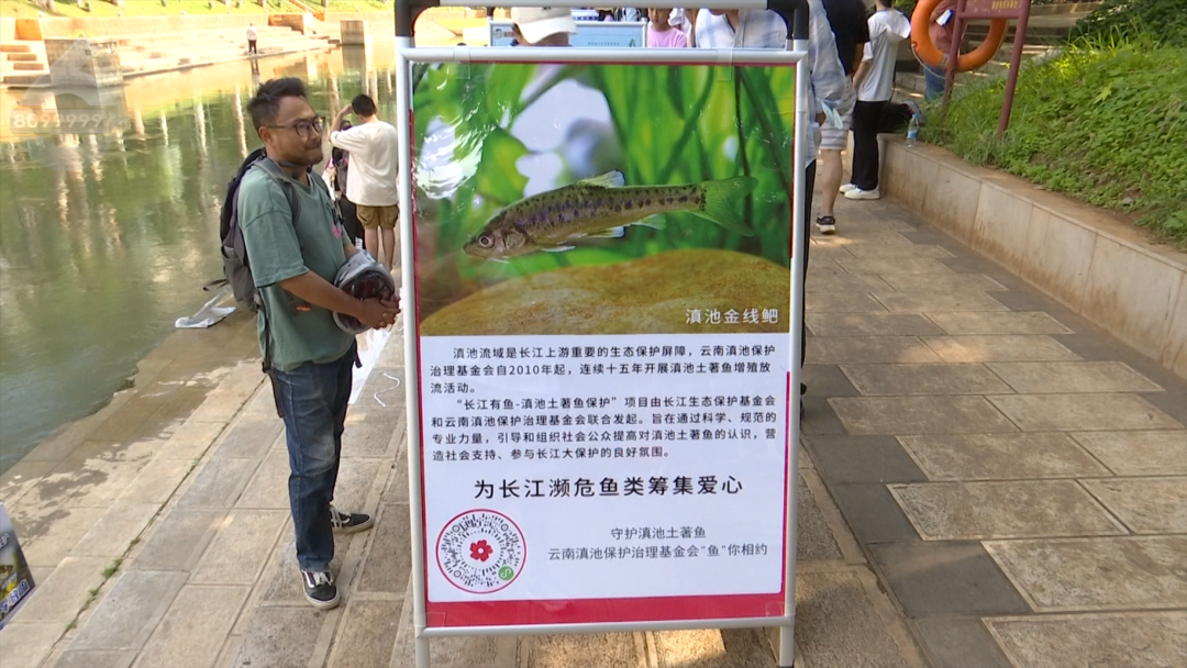 8099999街头巷尾微信