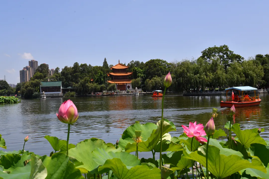 FM954昆明汽车音乐广播