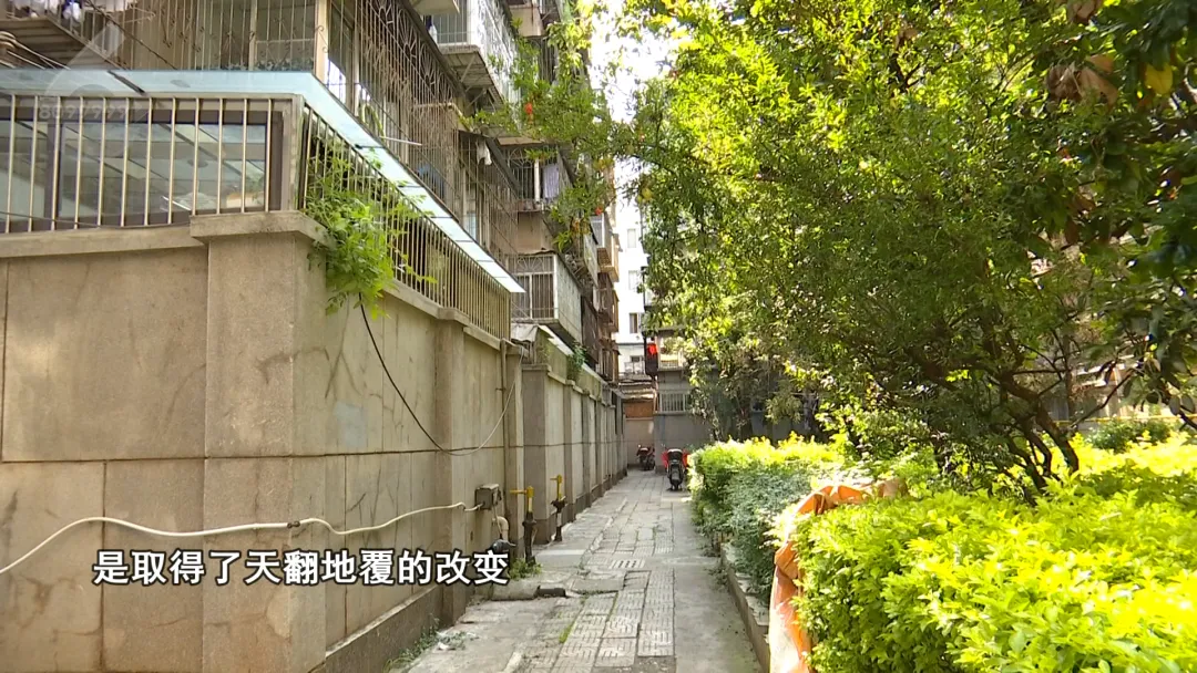 8099999街头巷尾微信