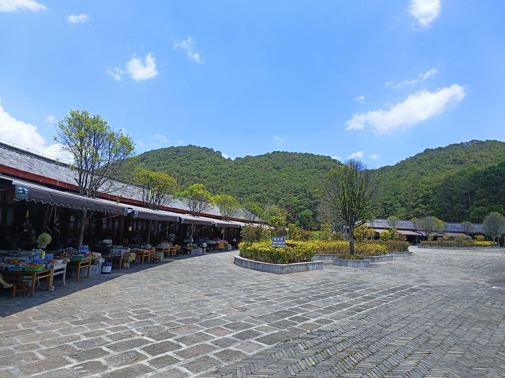 云南省文化和旅游厅