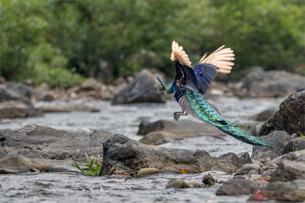 云南省文化和旅游厅