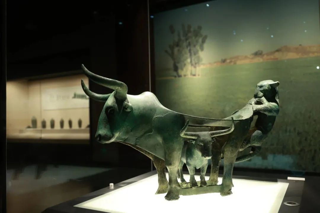 云南省文化和旅游厅