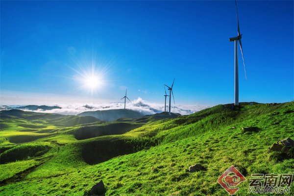 云南省文化和旅游厅