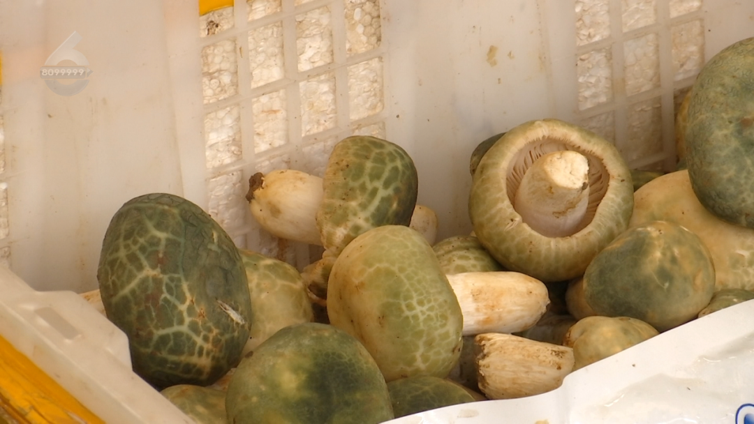 8099999街头巷尾微信