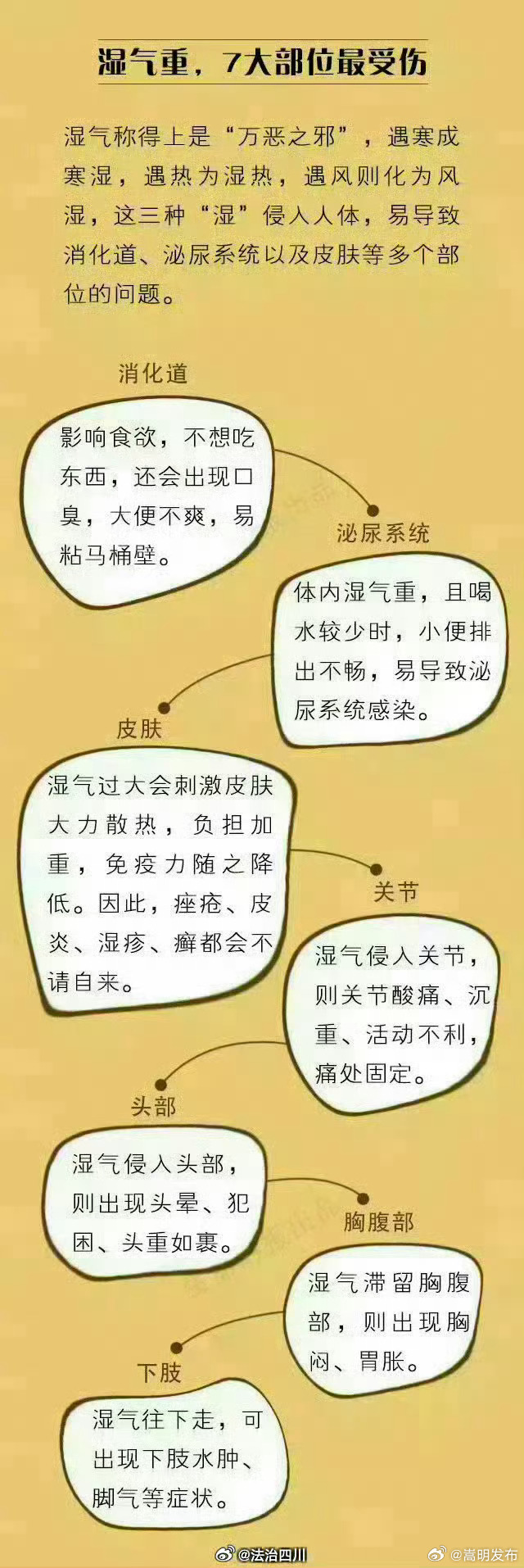嵩明发布