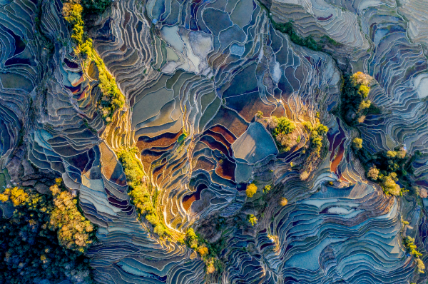 云南省文化和旅游厅