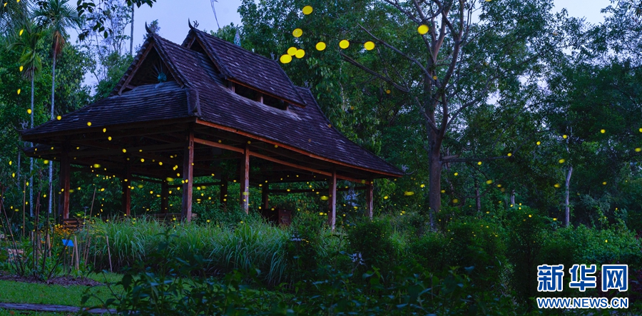 云南省文化和旅游厅