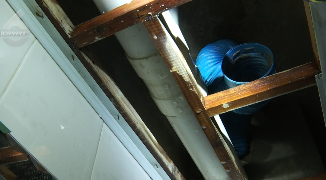 8099999街头巷尾微信