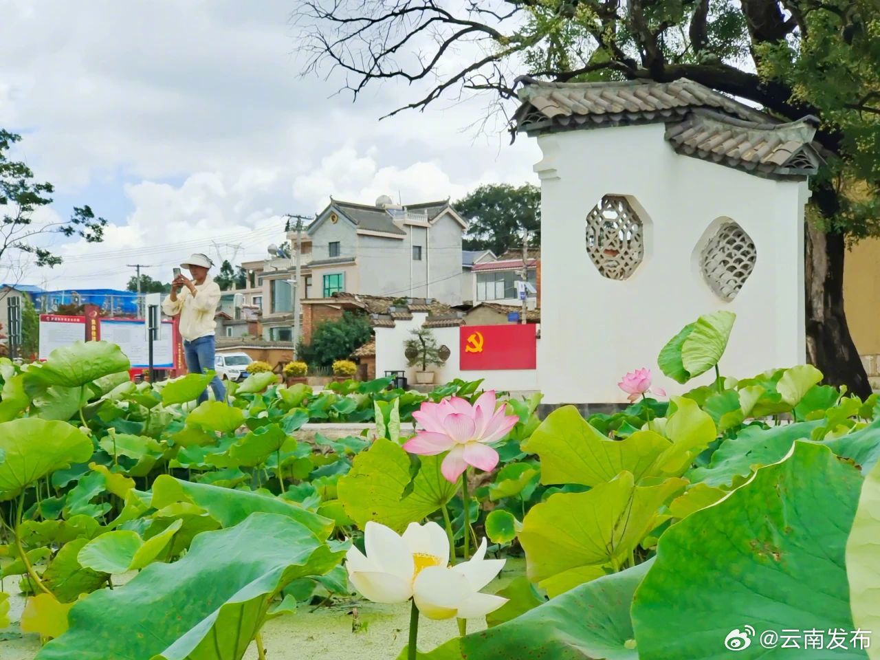 云南发布