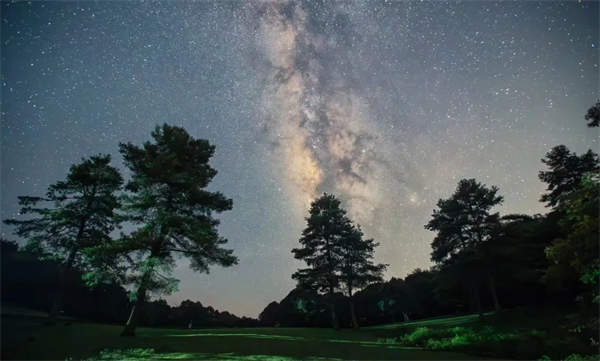 云南省文化和旅游厅