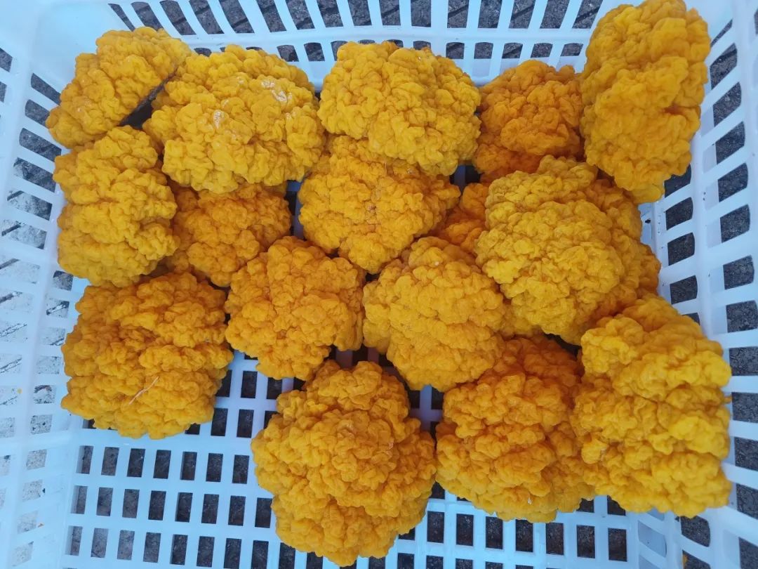 晋宁诗意的栖居地