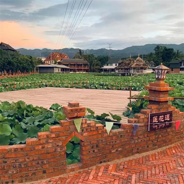 云南省文化和旅游厅